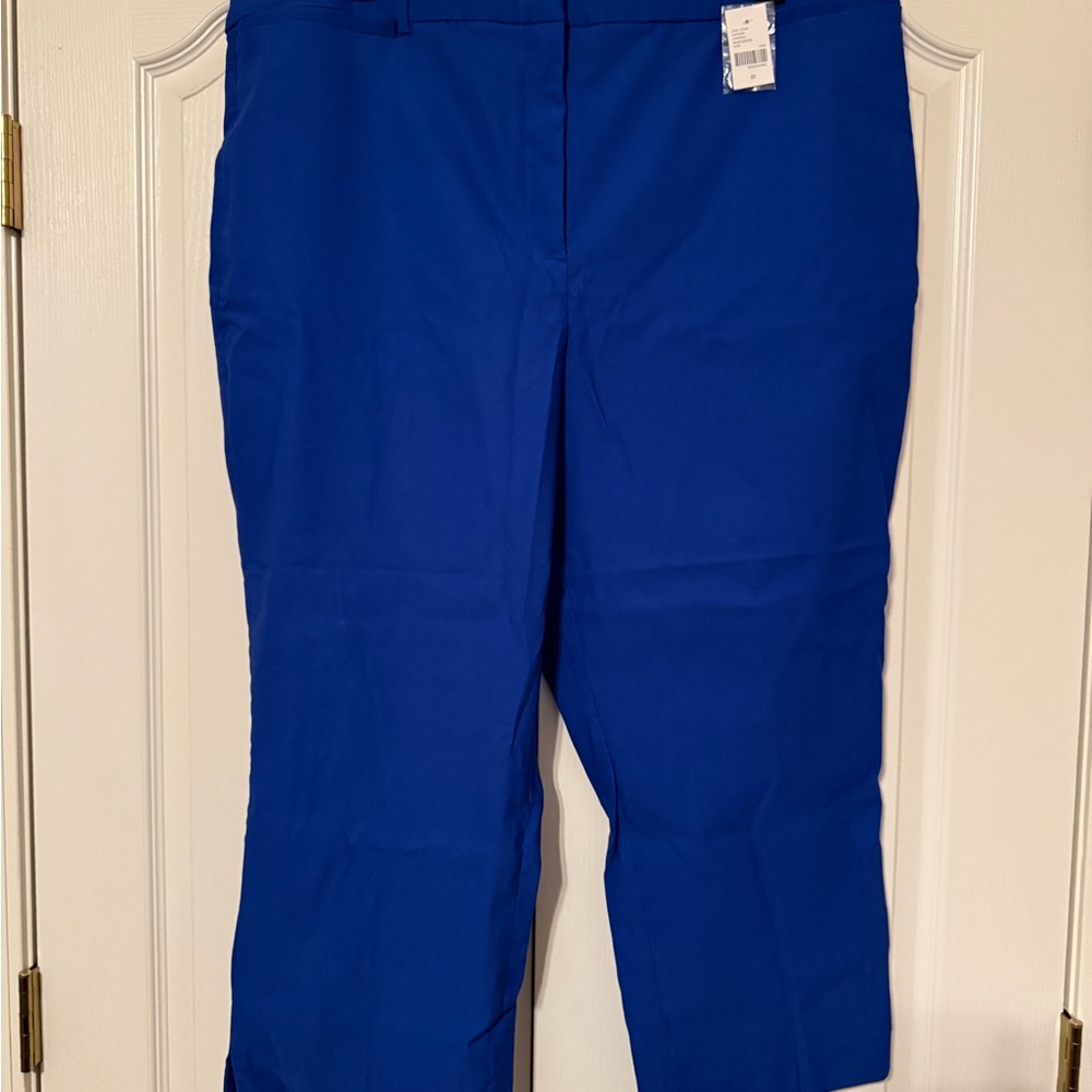 Lane Bryant Vibrant Blue Cropped Pants